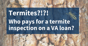 Who Pays For A Termite Inspection On A VA Loan In Florida, Texas, Or Alabama?