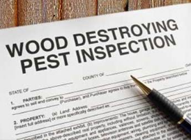 Who Pays For A Termite Inspection On A VA Loan In Florida, Texas, Or Alabama?
